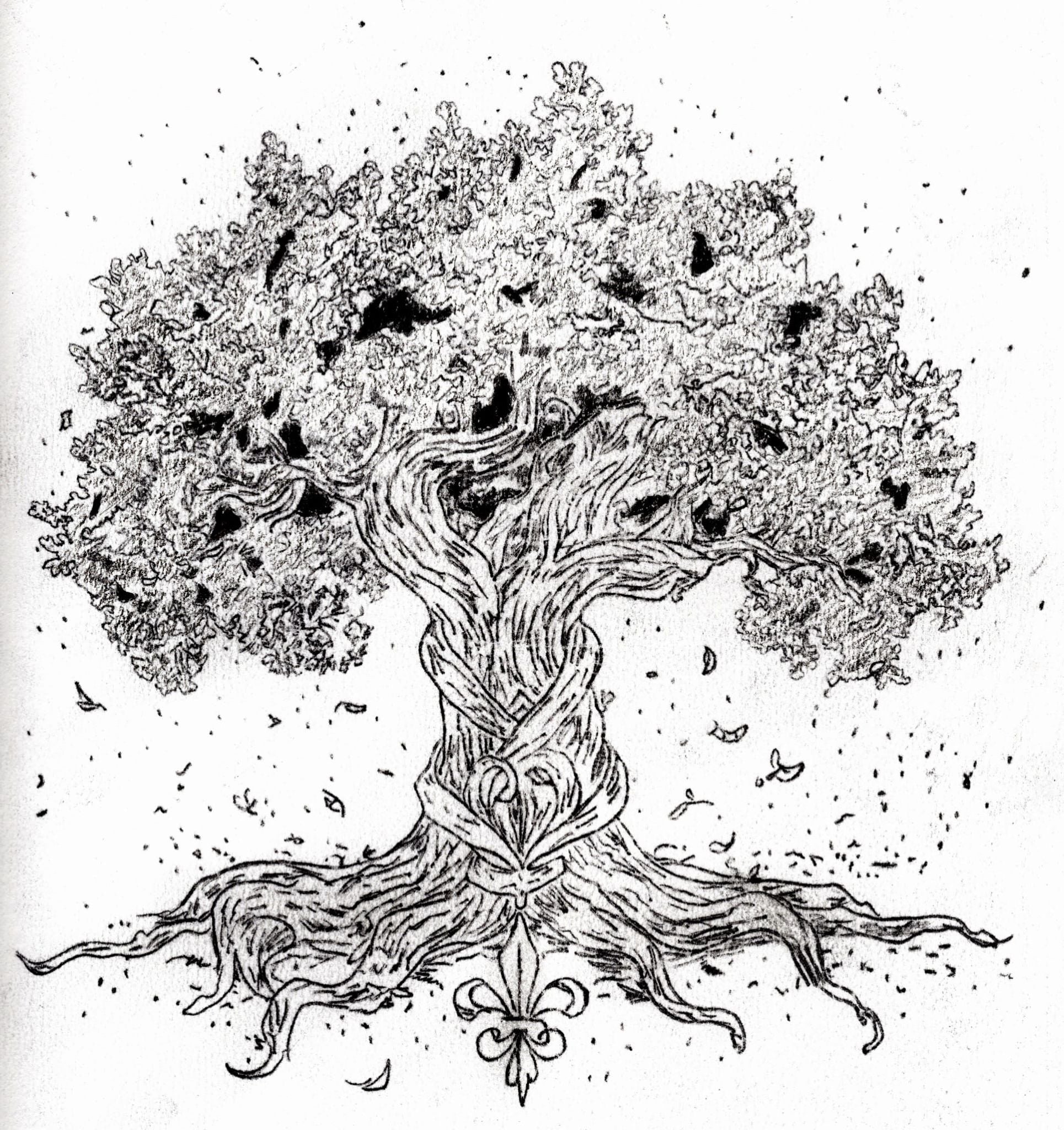 The Old Live Oak Remembers